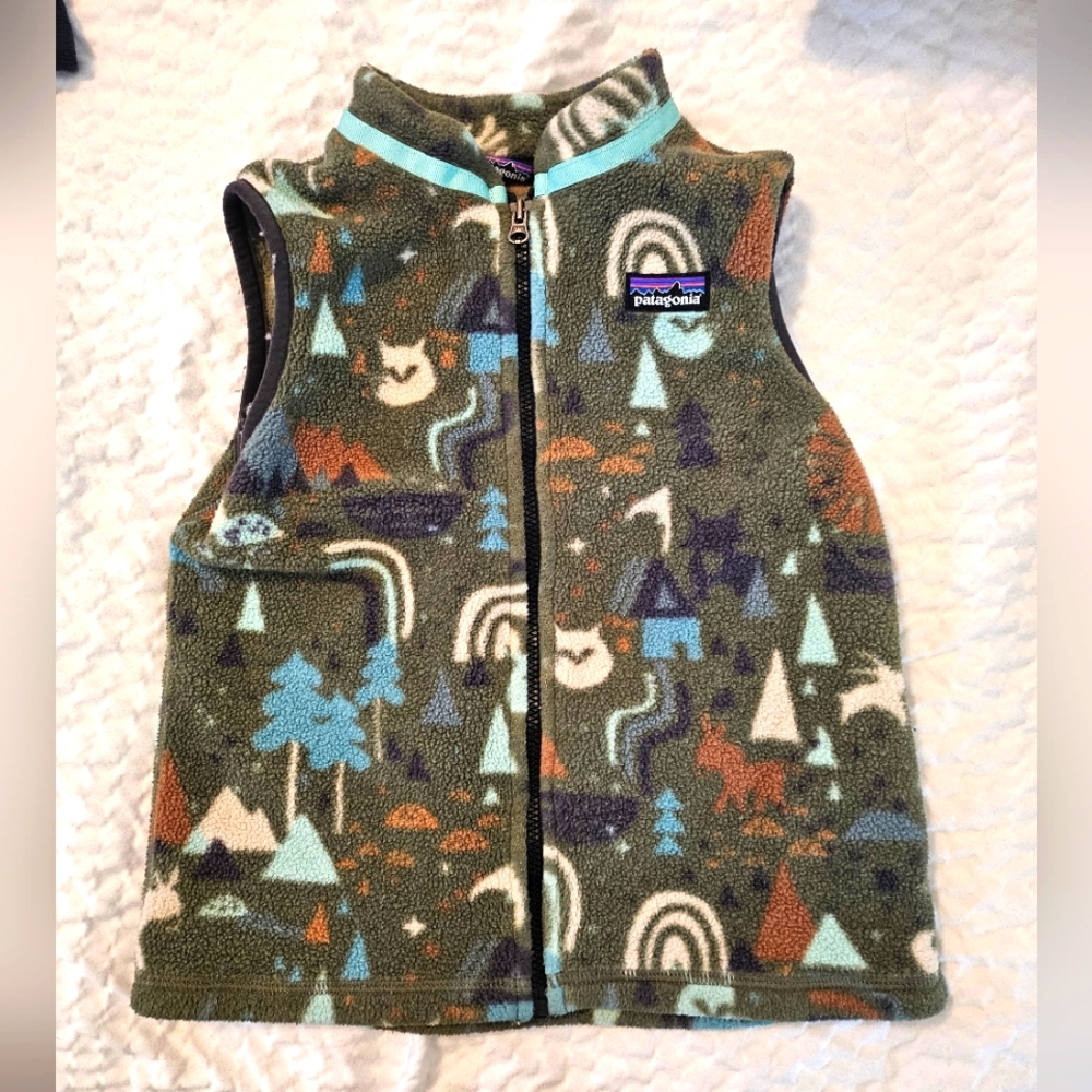 Patagonia vest